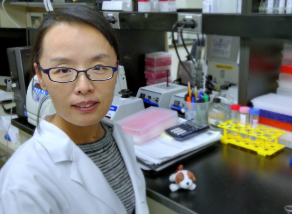 From the heart: Drs. Yong-feng Gong and Hani Suleiman Receive AHA Grants