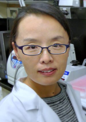 Yong-feng Gong, PhD