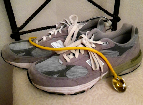 “Celebrate Life and Each Other” – Join the 2017 St. Louis NKF Kidney Walk