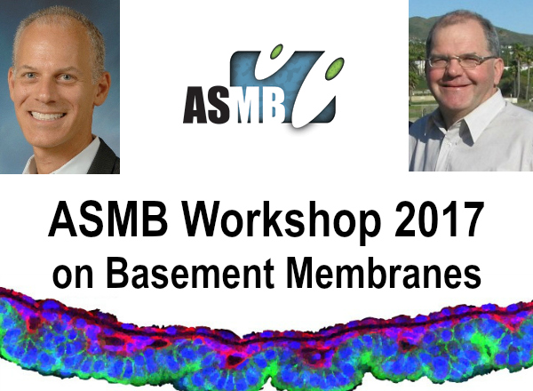 Miner Co-Chairs American Society for Matrix Biology Workshop on Basement Membranes