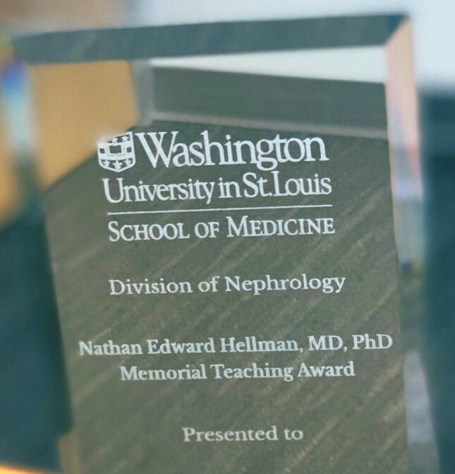 Nathan Hellman Memorial Teaching Award