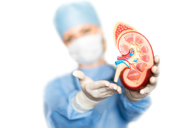 Personalized Immunosuppression Benefits Low-Risk Kidney Transplants