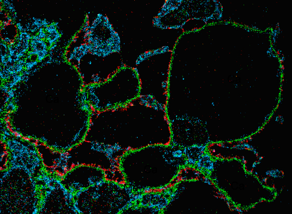 Dr. Suleiman to Help Inaugurate WUCCI as a Nikon Center of Excellence