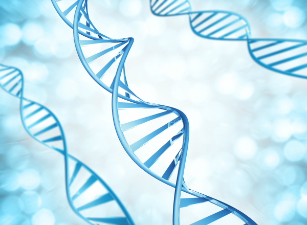 Dr. Feng Chen and Colleague Awarded $2.2M NIH R01 Grant