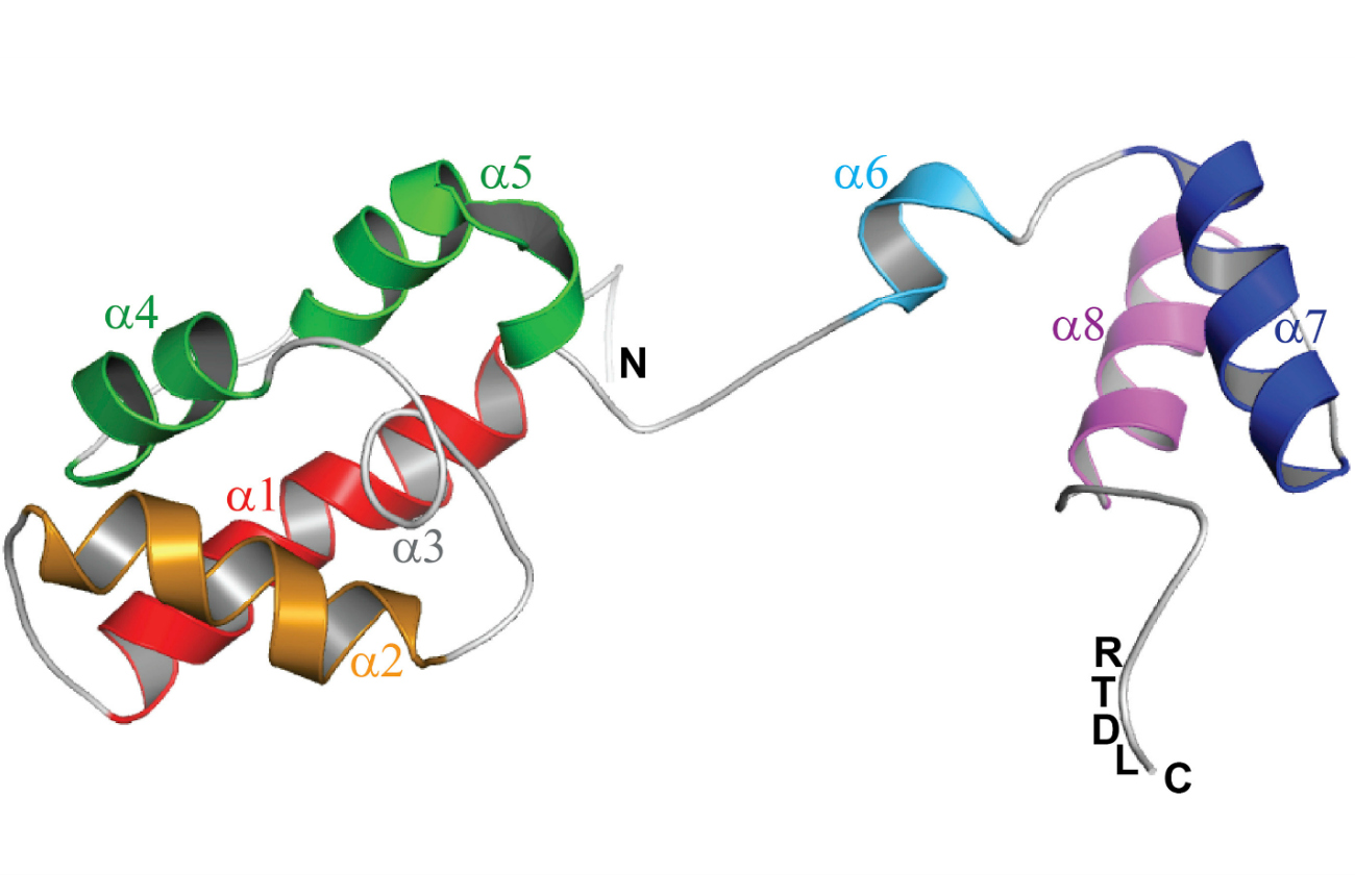 Ying Maggie Chen – Translational Research Featured New Investigator