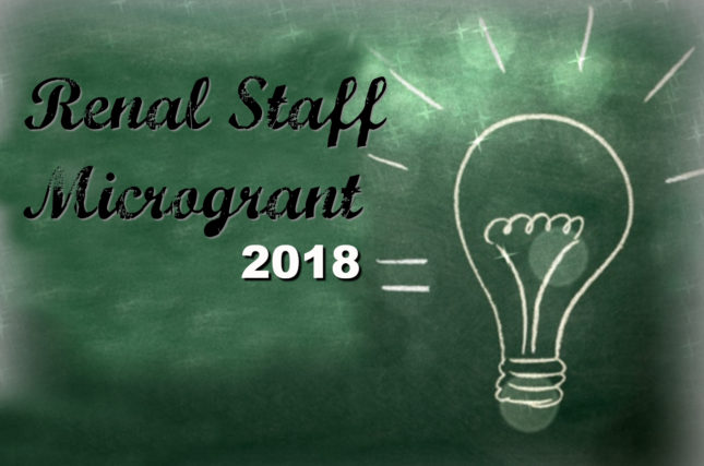 Idea? Make It Reality – 2018 Renal Staff Microgrant Call for Proposals