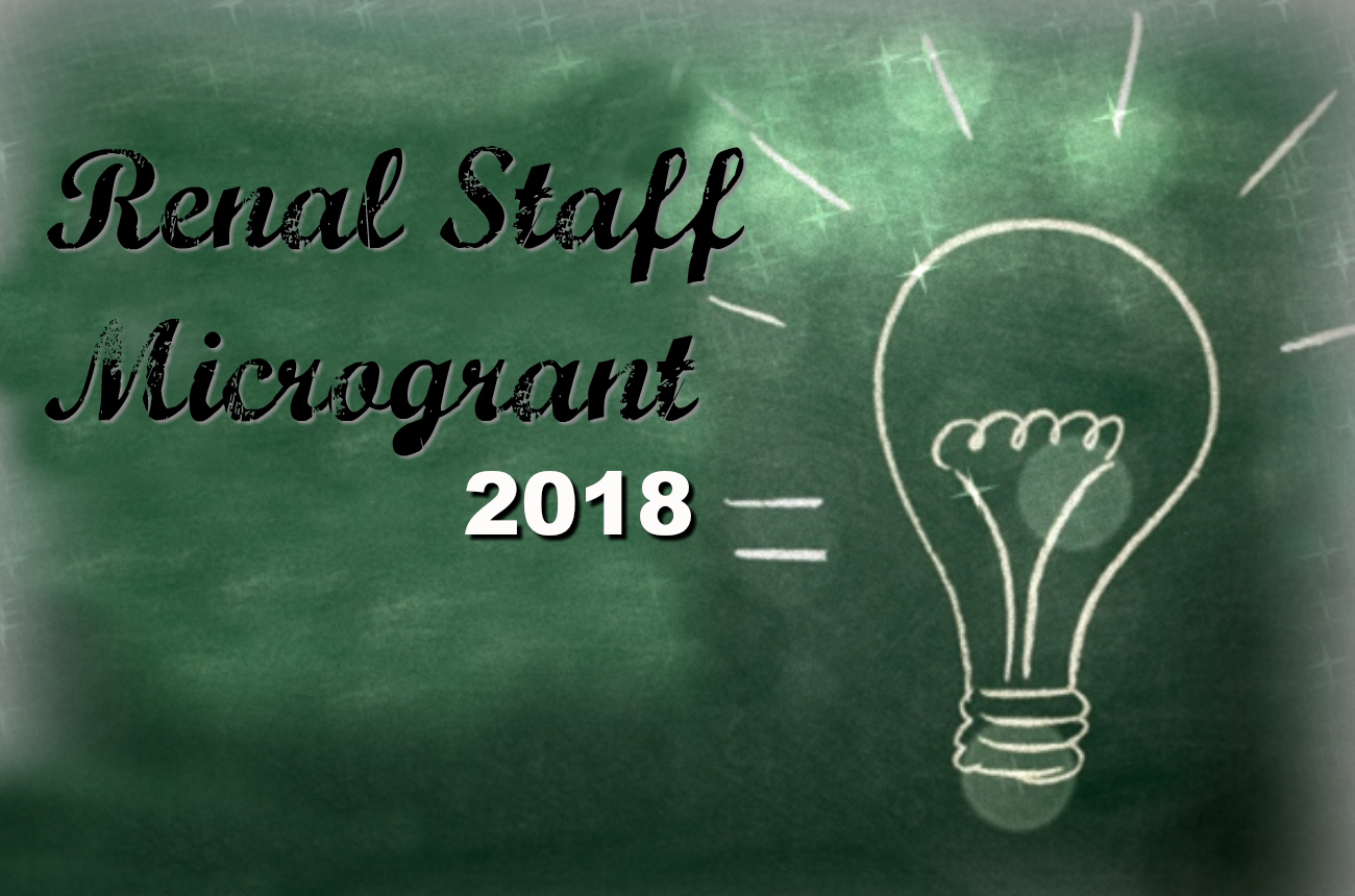 Idea? Make It Reality – 2018 Renal Staff Microgrant Call for Proposals