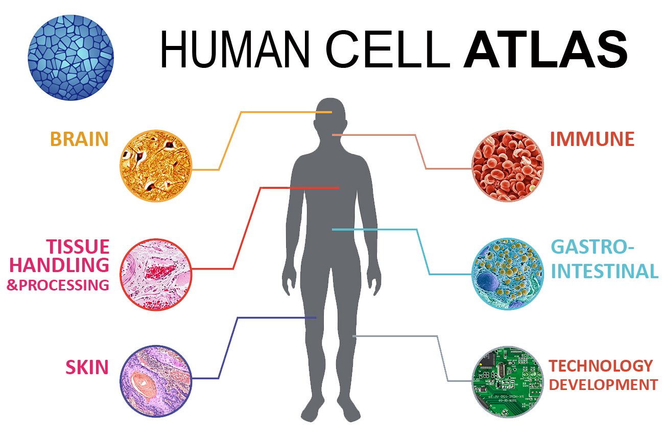 WU Nephrology Integral Part in CZI Push to Accelerate Scientific Discovery