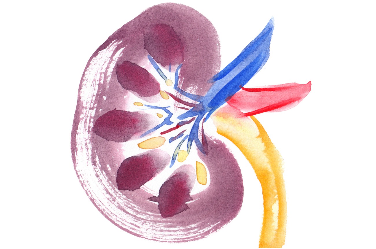 Paul Mennes Memorial Renal Grand Rounds Dinner – April 19