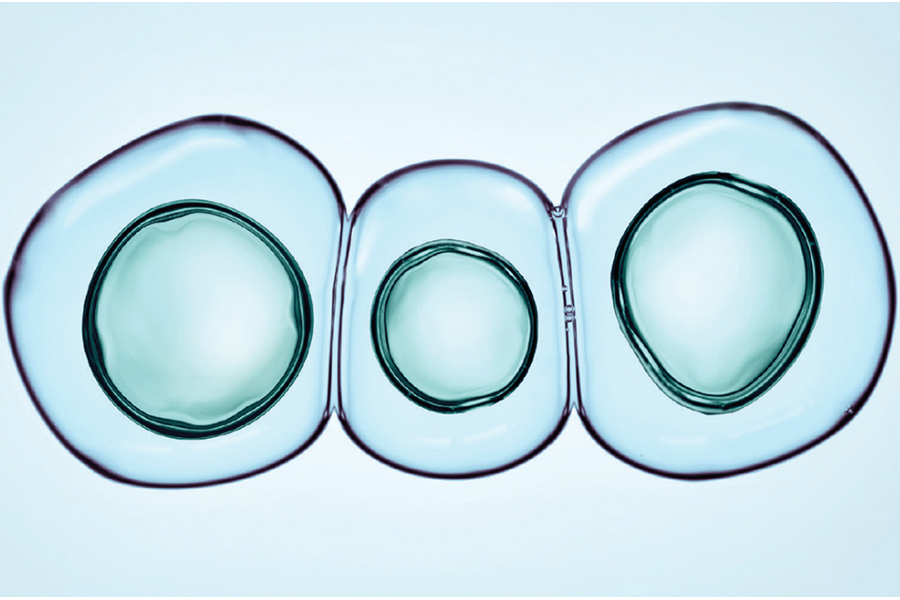 Jianghui Hou Authors Book on Paracellular Channels