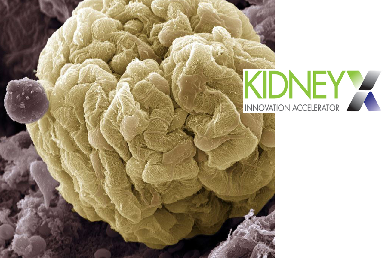 Dr. Andrew Malone Goes to Washington in Support of KidneyX