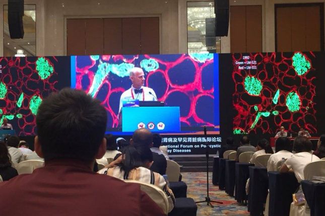 Conference Spotlights Polycystic and Rare Kidney Diseases
