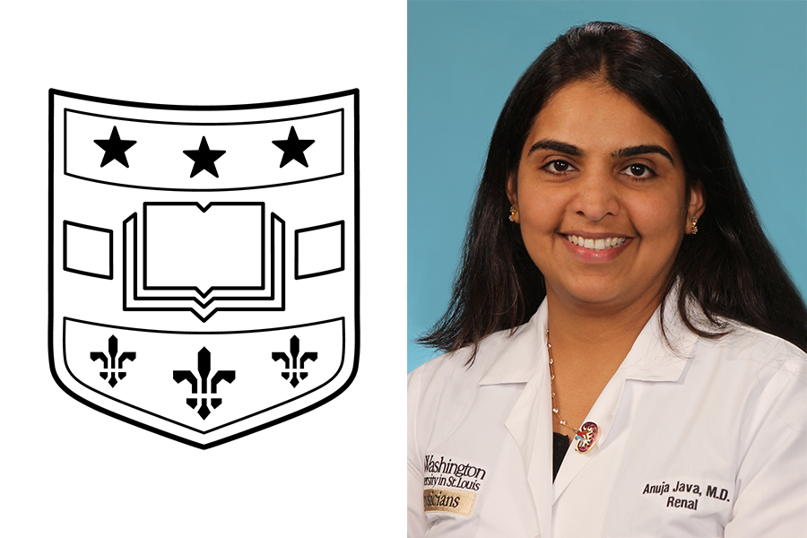 Anuja Java Presents at International Complement Society Conference