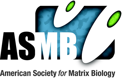 Dr. Jeffrey Miner President-elect of ASMB