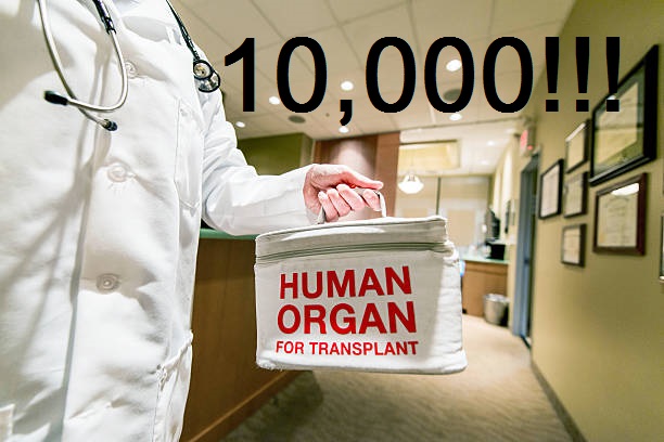Kidney Transplant Marks 10,000th Adult Organ Transplant