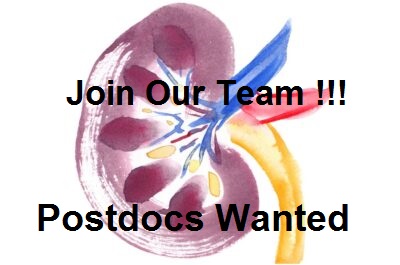 Postdoctoral Fellowships in Nephrology Available