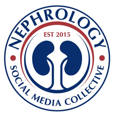 WU Nephrology Represented in 2019 Nephrology Social Media Collective Internship
