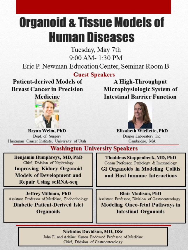 Upcoming WU Symposium Brings Together Researchers Interested in Organoid Culture