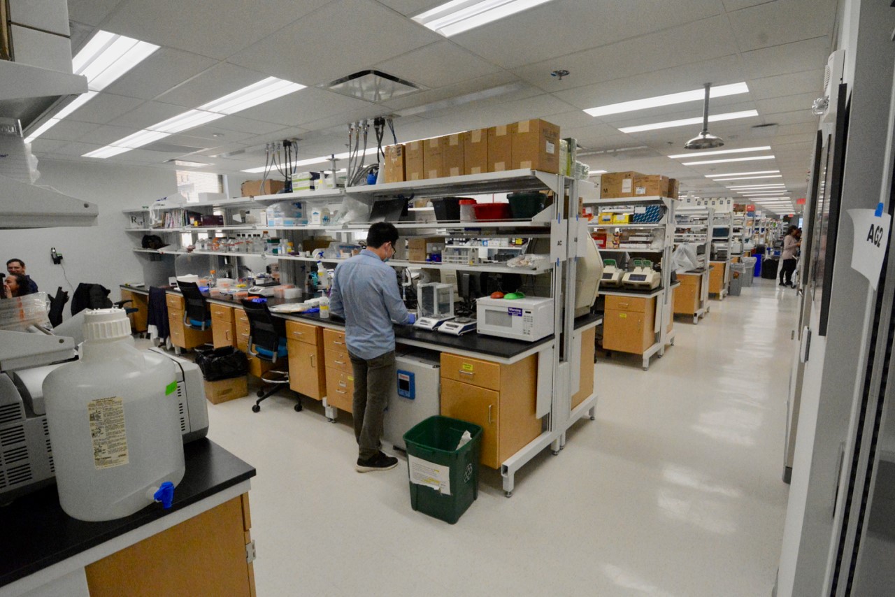 Labs - Division of Nephrology