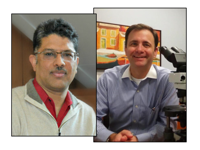 Sanjay Jain and Joseph Gaut, Co-authors of Newly Released Diagnostic Pathology: Kidney Diseases Book