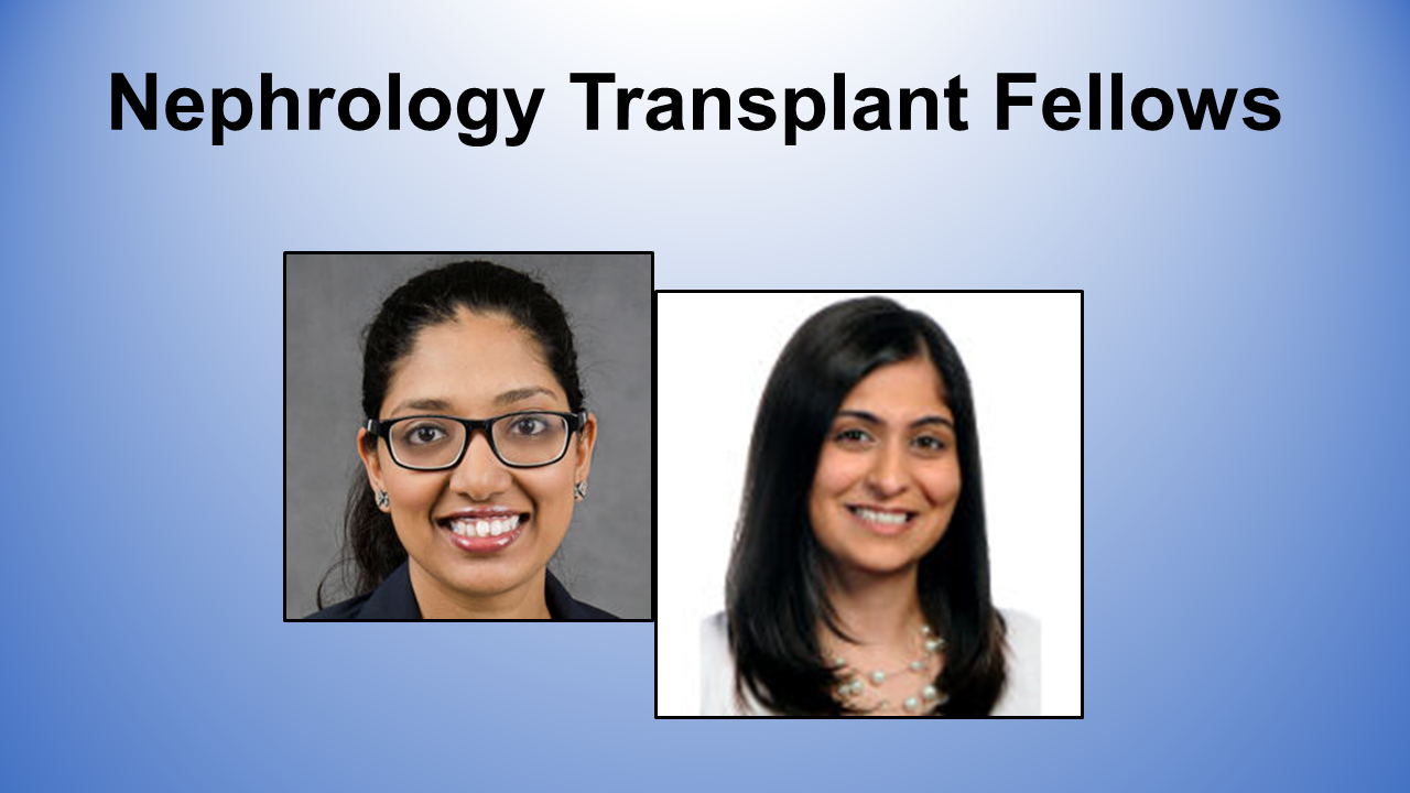 Former WU Renal Fellows Join Transplant Training Program