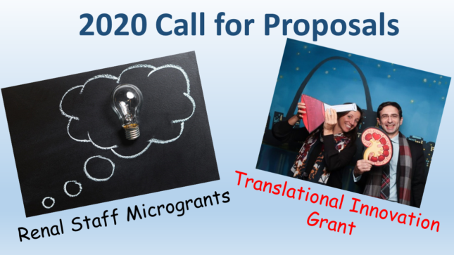 2020 CALL FOR PROPOSALS: Renal Staff Microgrants and Translational Innovation Grant