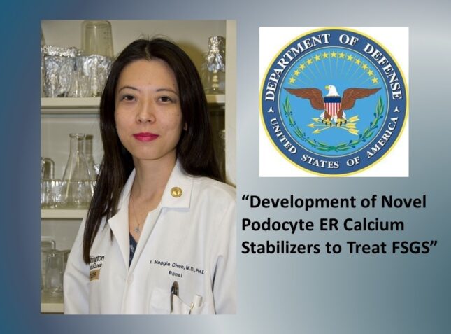 Dr. Maggie Chen Receives $1.8M Department of Defense Grant to Develop Treatment for FSGS
