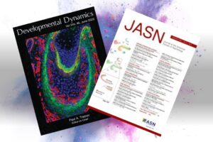 Drs. Meei-Hua Lin and Andrew Malone Each Score Second Journal Cover in Two Years