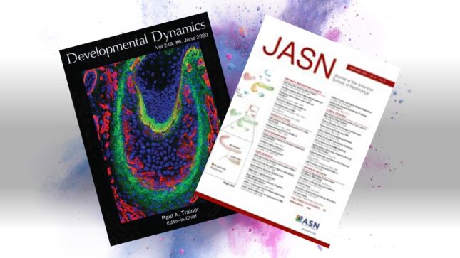 Drs. Meei-Hua Lin and Andrew Malone Each Score Second Journal Cover in Two Years