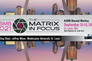 St. Louis-Hosted ASMB Meeting, Chaired by Dr. Jeffrey Miner, was a Success