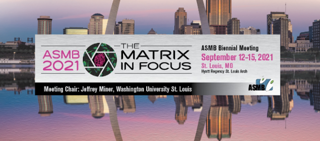St. Louis-Hosted ASMB Meeting, Chaired by Dr. Jeffrey Miner, was a Success