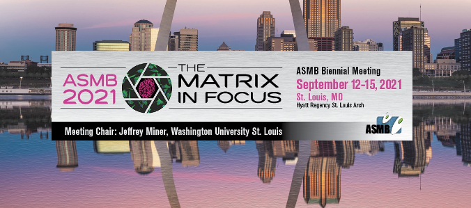 St. Louis-Hosted ASMB Meeting, Chaired by Dr. Jeffrey Miner, was a Success