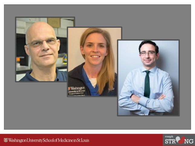 2022 Translational Innovation Grant Awarded to Drs. Andreas Herrlich and Charbel Khoury, and PA Megan Moseley to Study Osteopontin in COVID-19 Associated-ARDS