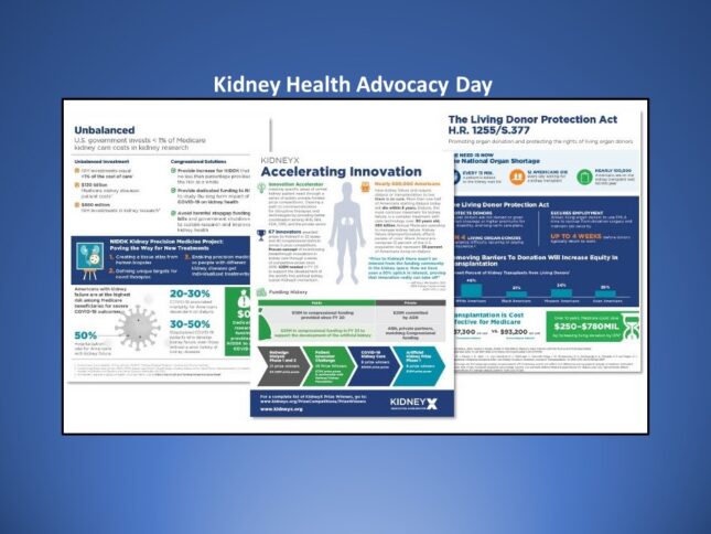 WashU Nephrologist Andrew Malone and Fellow Morgan Schoer Participate in Kidney Health Advocacy Day 2022