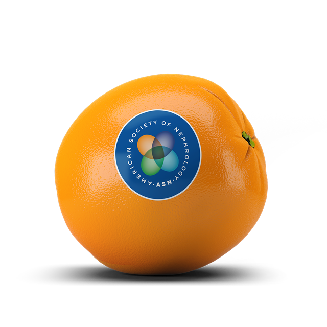 ASN Kidney Week 2022 WashU Nephrology Calendar Division Of Nephrology asn-kidney-week-2022-washu-nephrology-calendar-division-of-nephrology