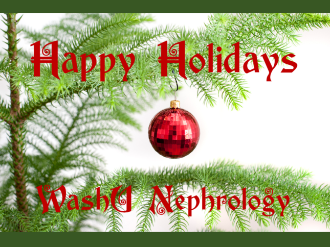 WashU Nephrology Celebrates the Holiday Season
