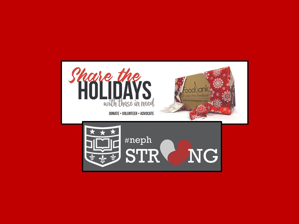 Help Those in Need This Holiday Season – Donate to the WashU Nephrology Virtual Food Drive