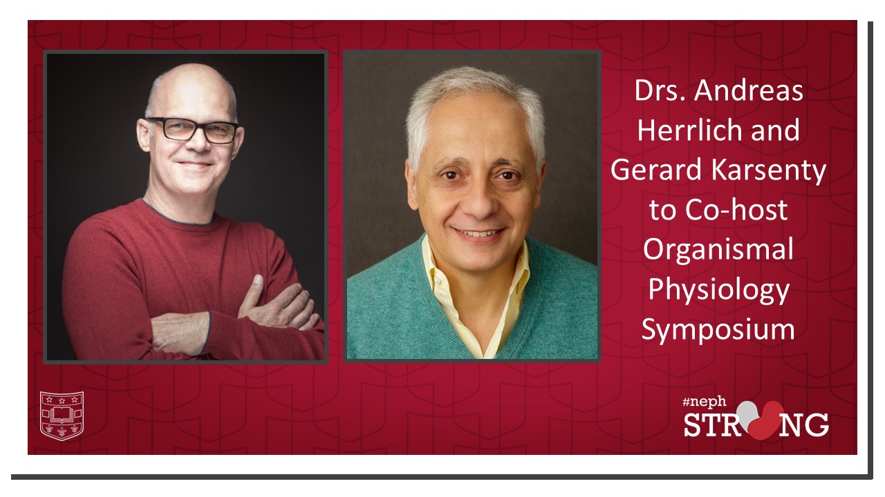 WashU Nephrologist Andreas Herrlich and Columbia University Geneticist Gerard Karsenty Co-host Upcoming Organismal Physiology Symposium