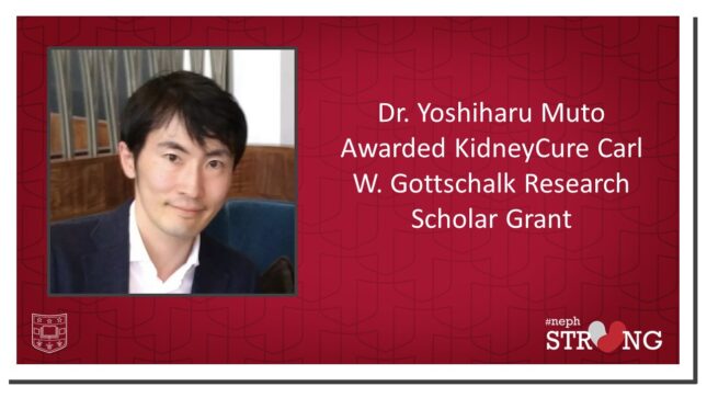 Yoshiharu Muto, MD, PhD, Awarded KidneyCure Carl W. Gottschalk Grant