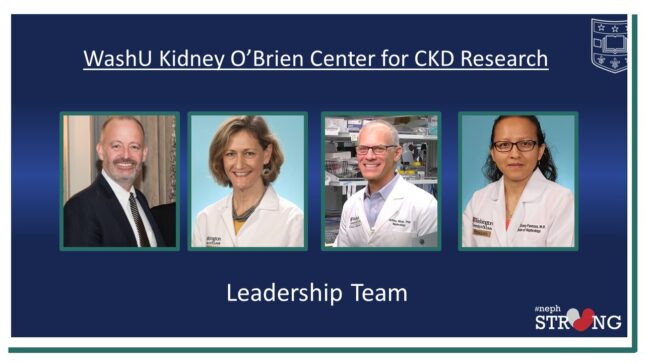 WashU Kidney O’Brien Center Takes CKD Research to the Next Level through Team Science