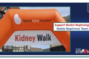 Support Our “Noble Nephrons” Team at the 2024 NKF Kidney Walk