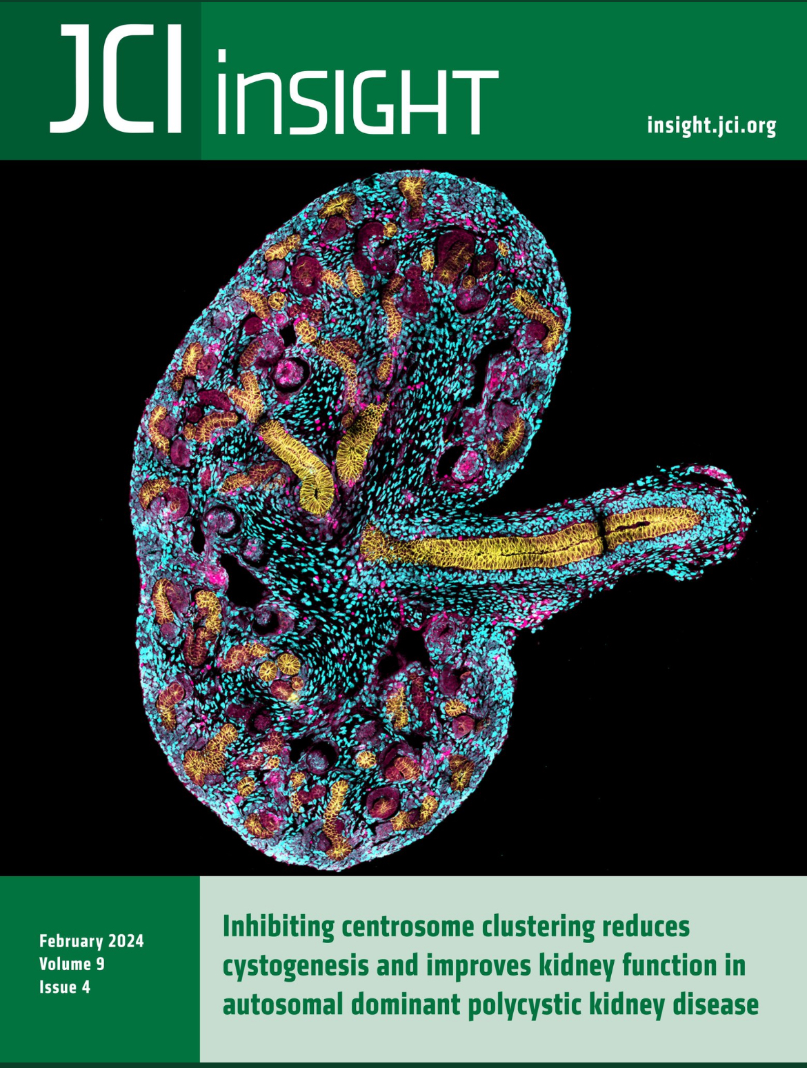 Mahjoub Lab Celebrates Recent Publications on Critical Role of ...