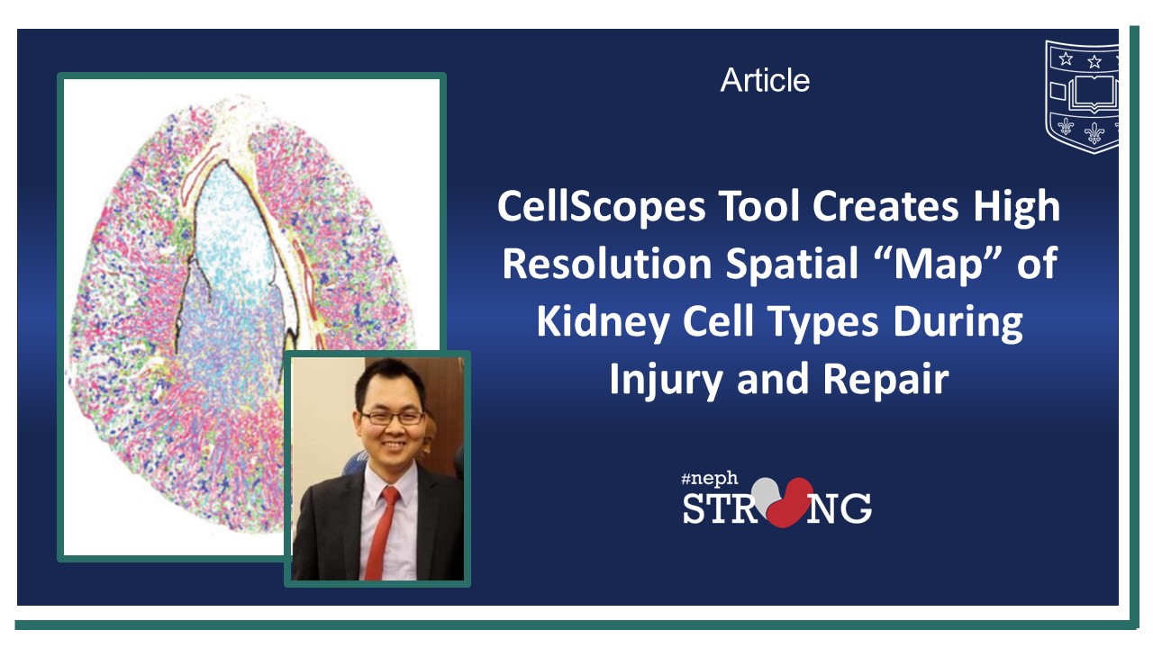 First Study from WashU Kidney O’Brien Center for CKD Research Published in Nature Communications