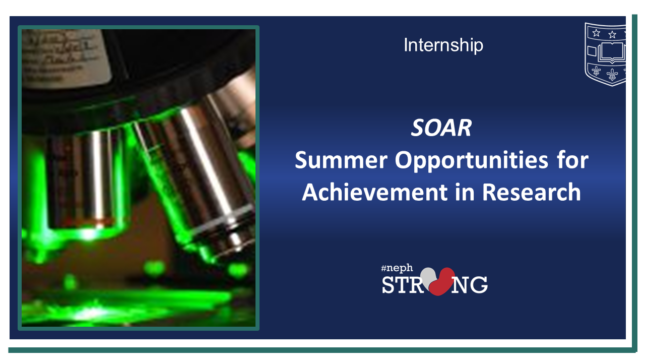 Four Students Accepted into O’Brien Center CKD Research Summer Internship