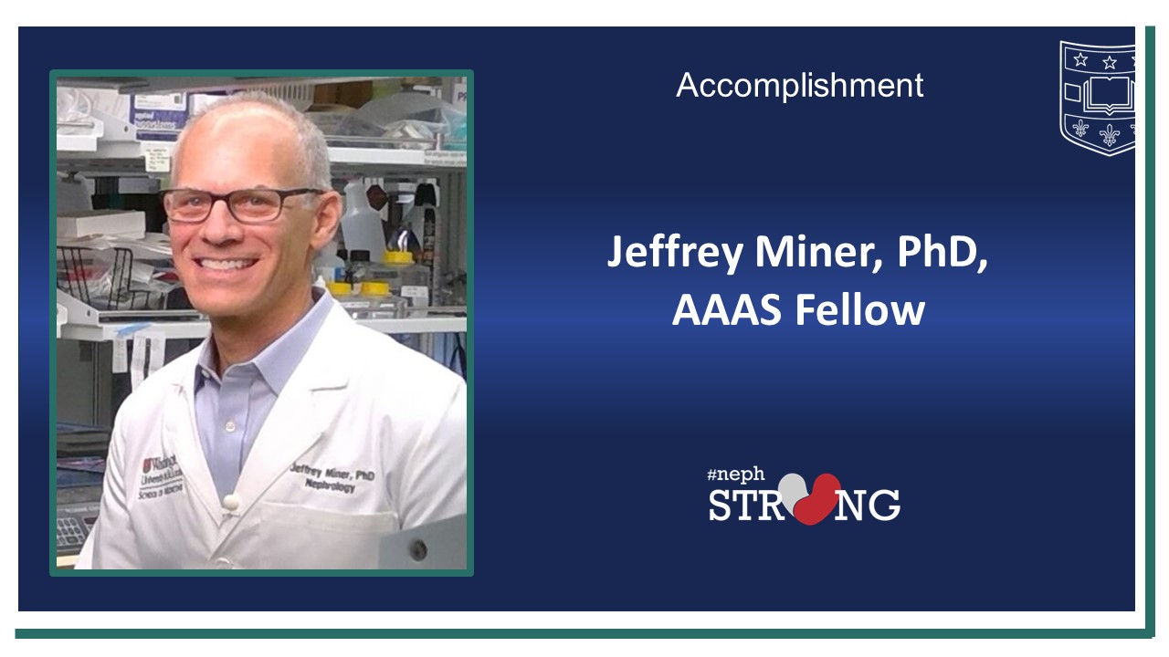 Jeffrey Miner, PhD, Among Nine WashU Faculty Elected to AAAS