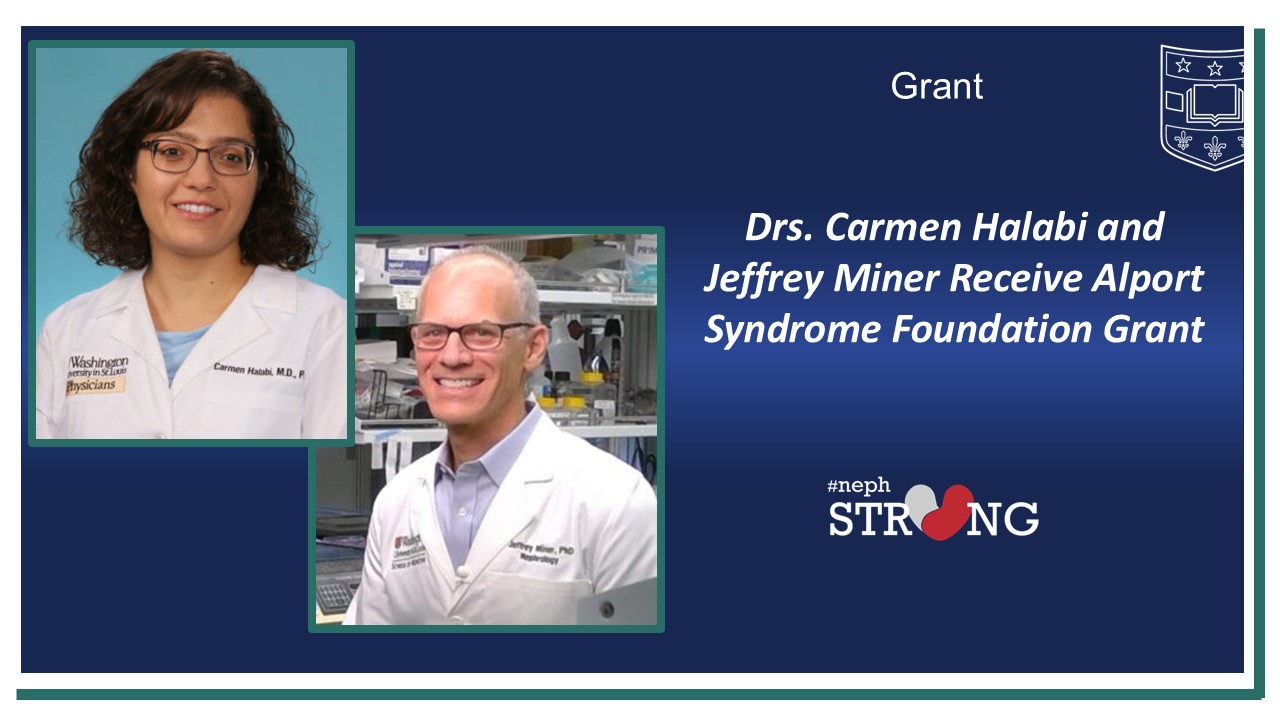 Are patients with Alport Syndrome at Increased Risk of Aortic Aneurysms?  ASF Funds Dr. Carmen Halabi and Jeffrey Miner to Find Out