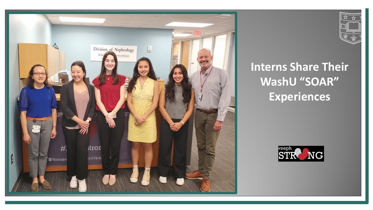 SOAR Interns Share Their Experiences