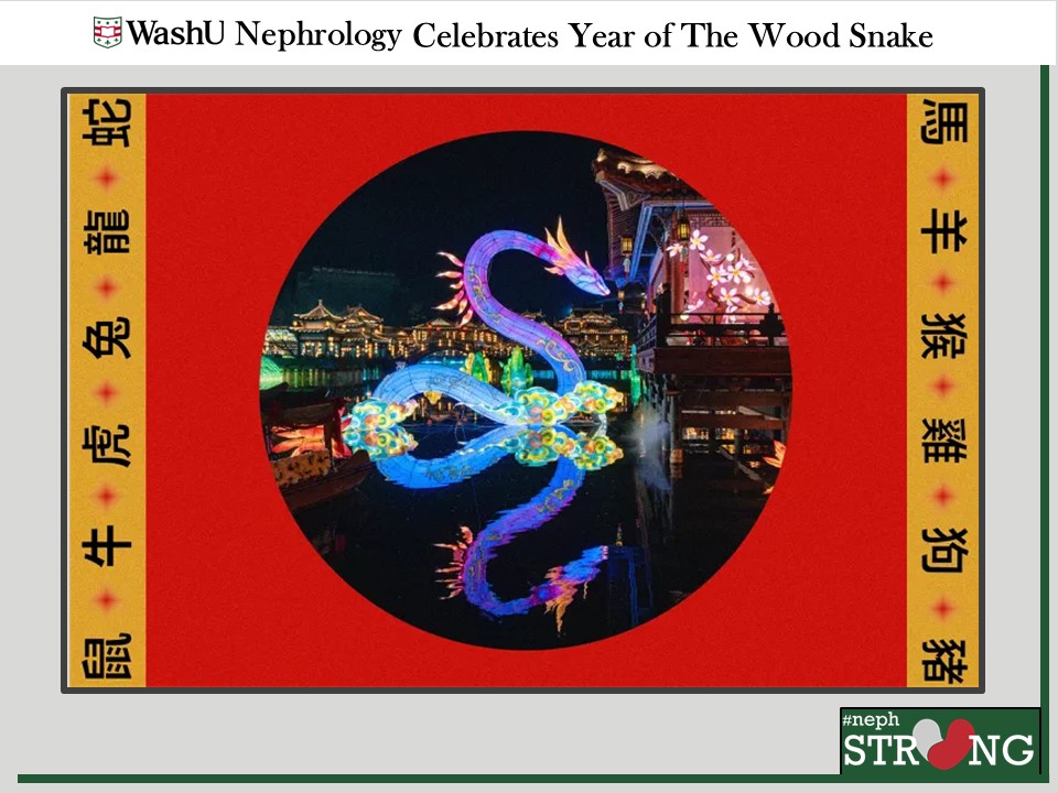 Year of the Wood Snake – Celebrating Lunar New Year 2025