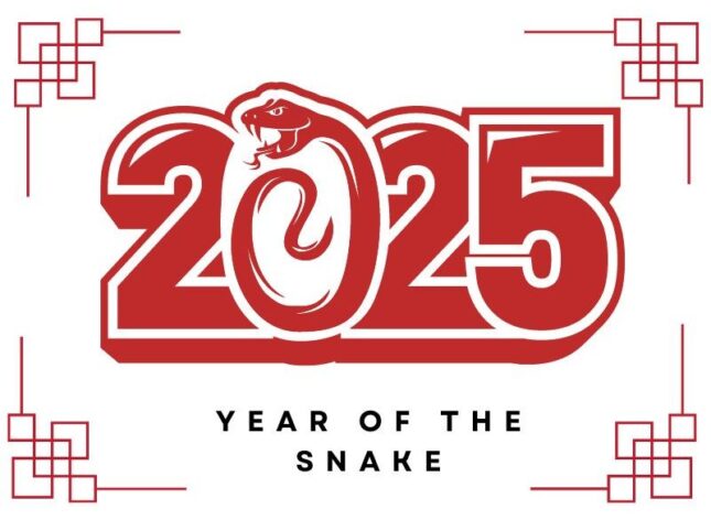 Year of the Wood Snake Celebrating Lunar New Year 2025 Division of