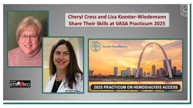 Cheryl Cress and Lisa Koester-Wiedemann Share Their Expertise at VASA Practicum 2025